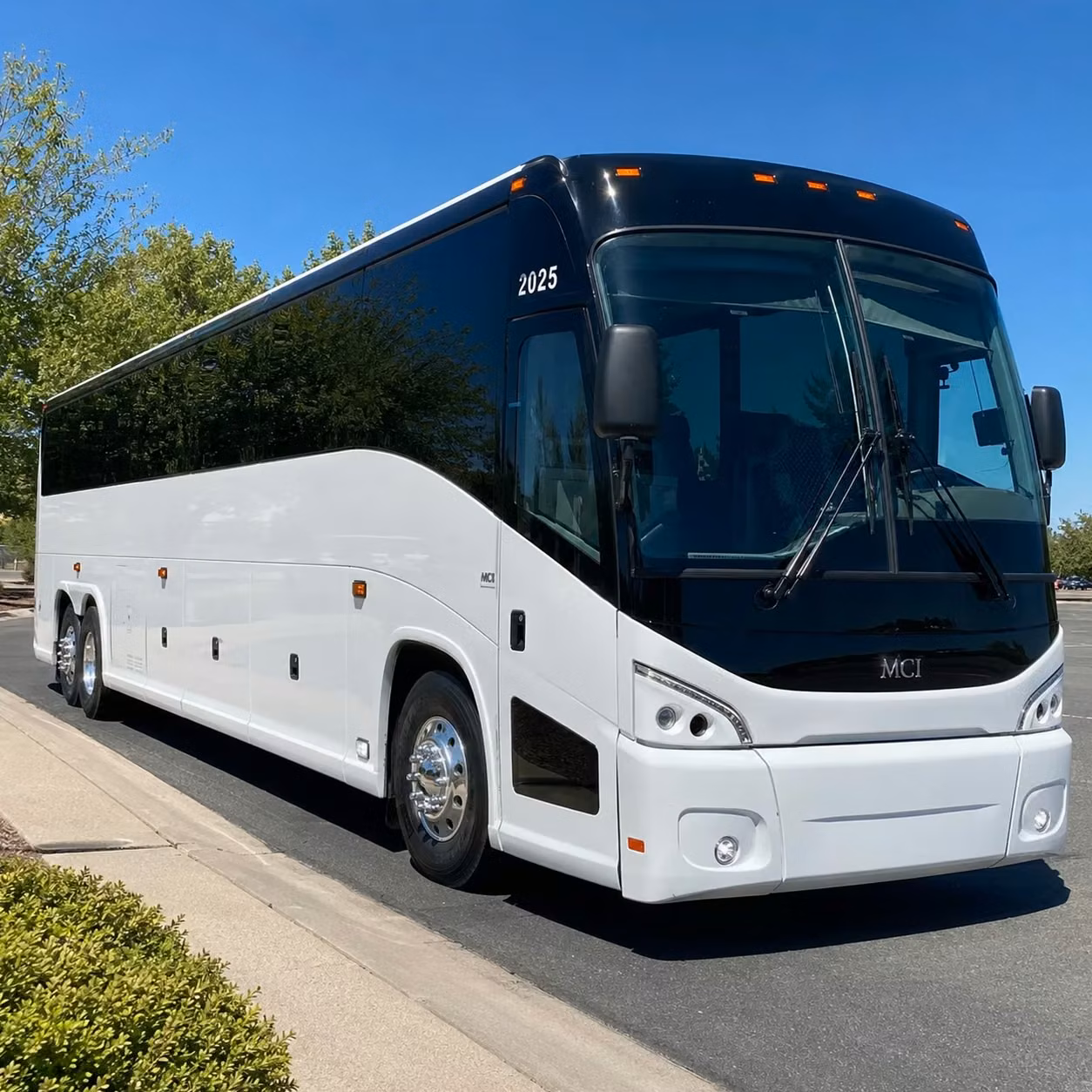 long distance transportation in bellingham and all the surrounding areas
