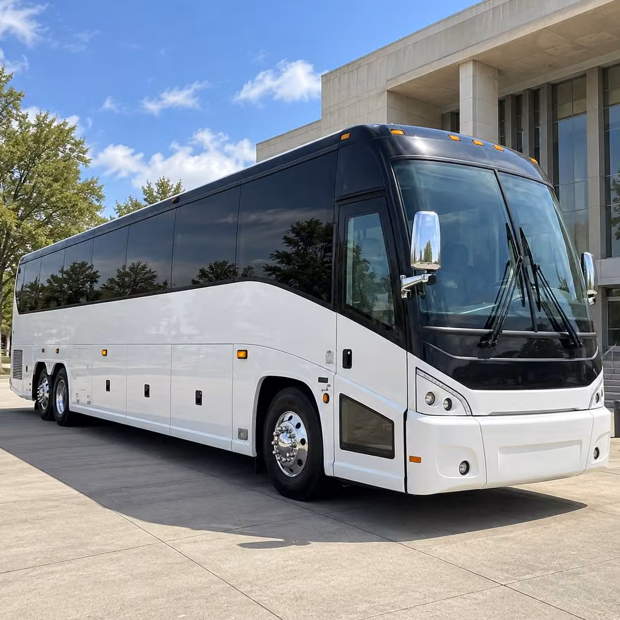 western washington university vikings fan transportation in bellingham